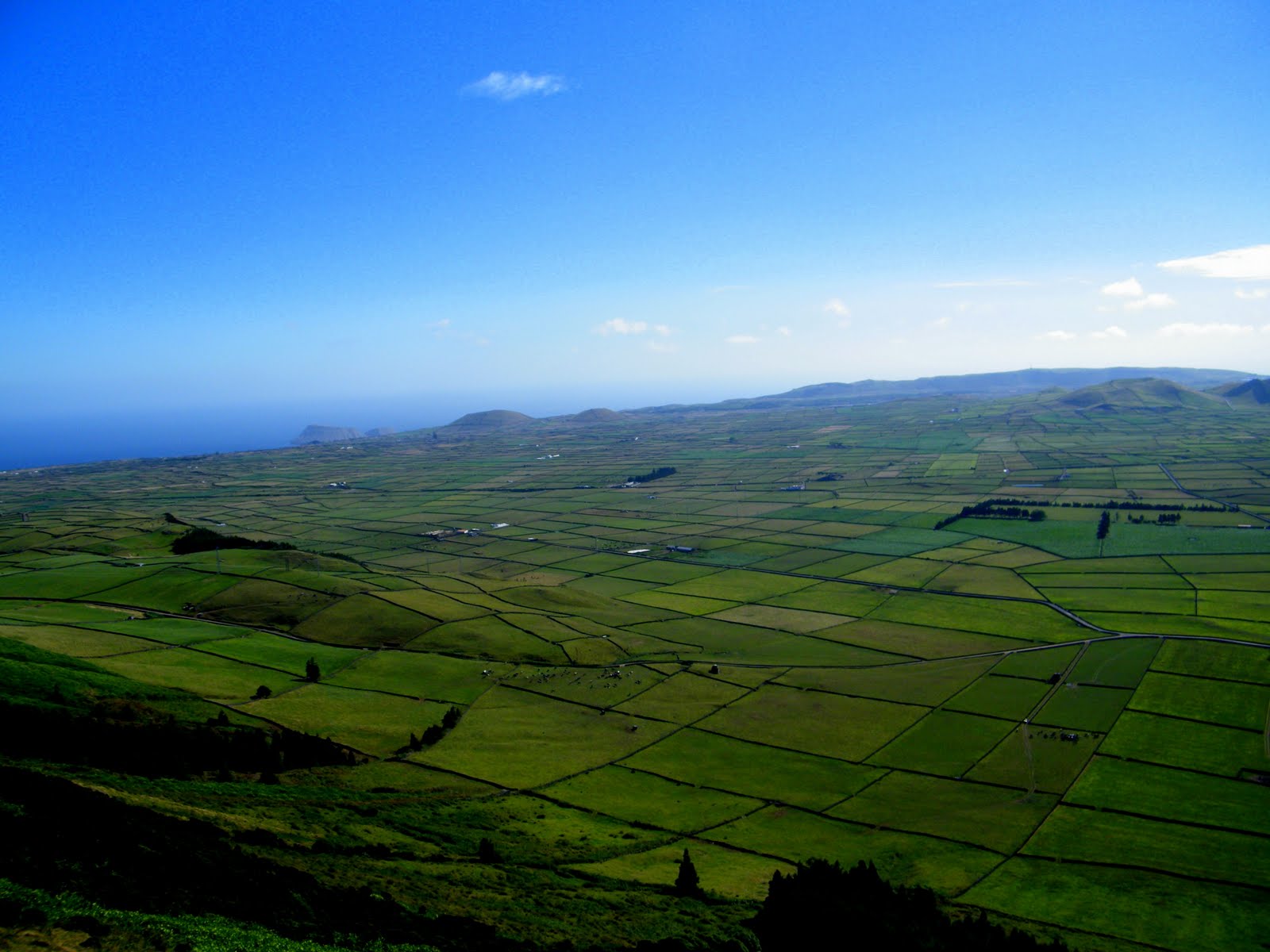 WAKESEED NA ILHA TERCEIRA